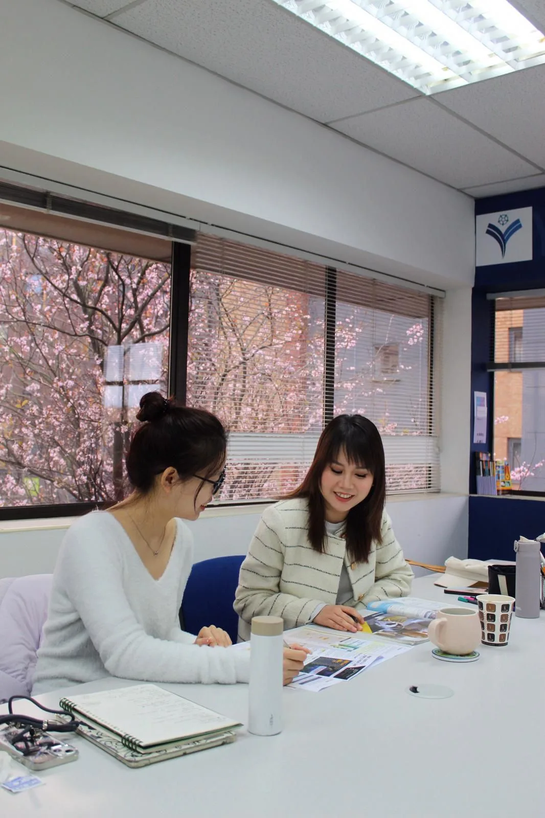 Student Visas for Short English Courses in the UK - Yorkshire College featured image